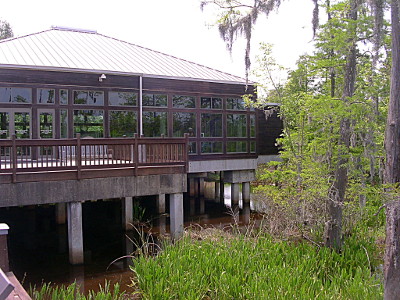 [Back portion of building on stilts in the swamp.]